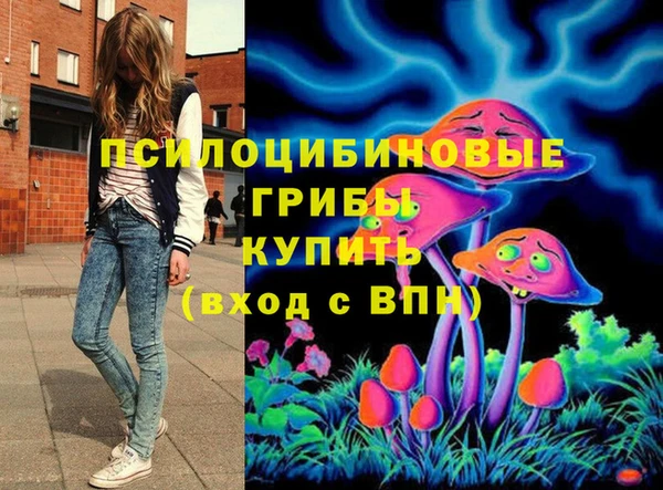 дурь Краснослободск