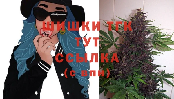 таблы Инсар