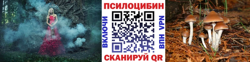 где купить   Первоуральск  Псилоцибиновые грибы Psilocybe 